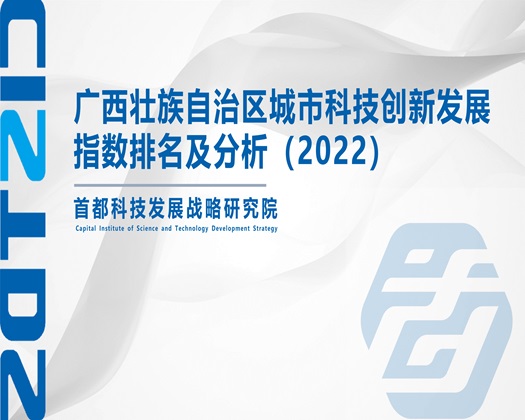 爆炒学生妹白虎【成果发布】广西壮族自治区城市科技创新发展指数排名及分析（2022）